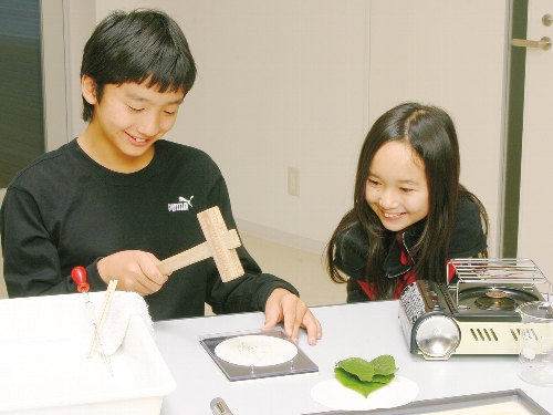 たたき染め実験セット