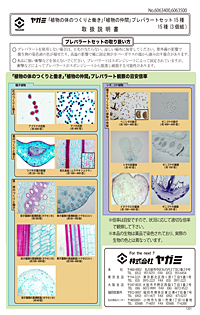 「植物の体のつくりと働き」「植物の仲間」プレパラートセット