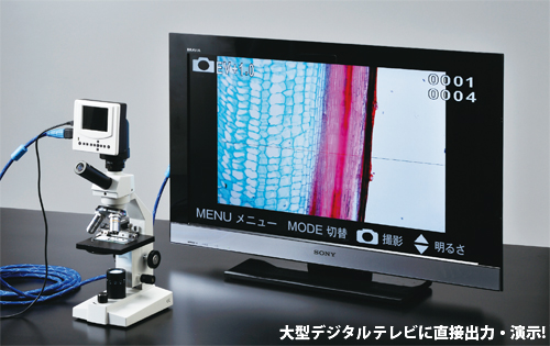 液晶モニター付生物顕微鏡