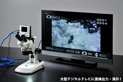 液晶モニター付双眼実体顕微鏡