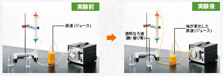 腎臓の働き体験学習セット